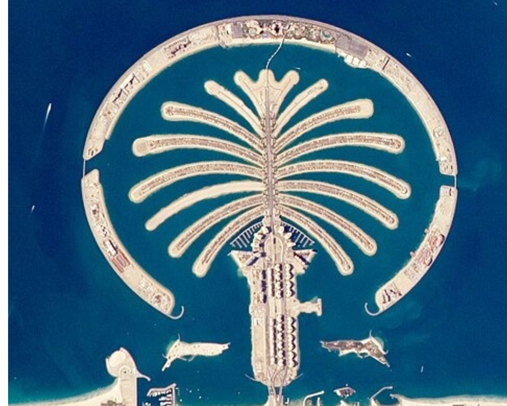 Properties in Palm Jumeirah