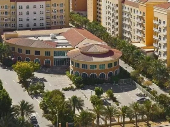 Dubai Investment Park Area Guide