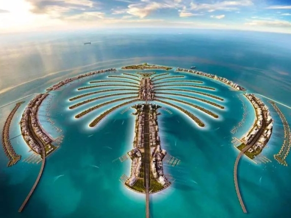Palm Jebel Ali Area Guide