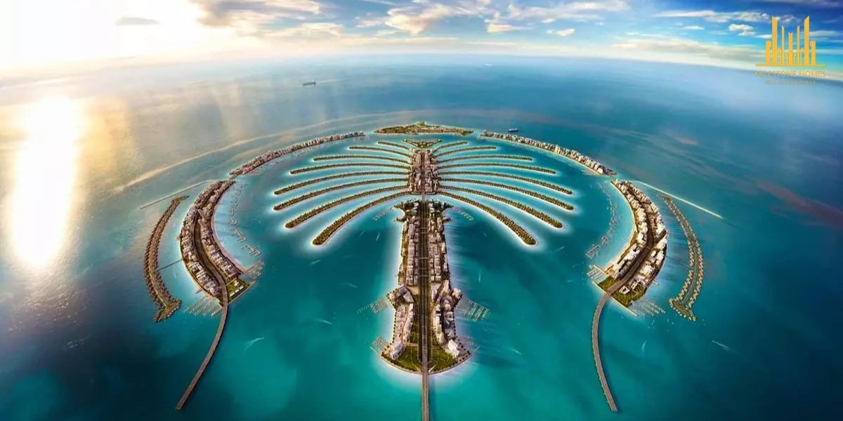 Palm Jebel Ali Area Guide